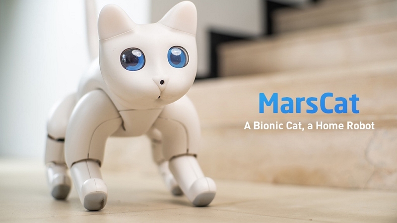 Voici le premier chat bionique au monde et il s'appelle MarsCat