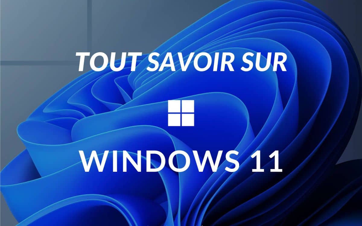 Windows 11 Pro avec USB Professionnel + Clé de licence, ce n'est pas  WINDOWS 10 Pro