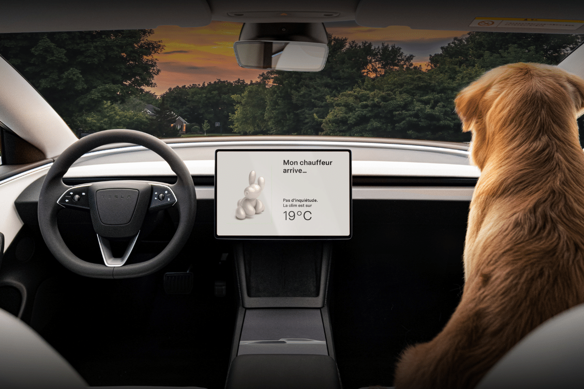 Tesla mode chien bug
