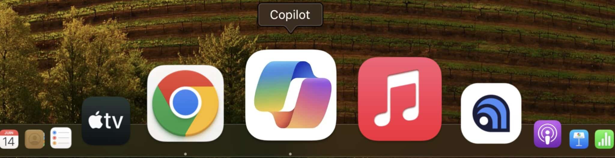 Copilot app on Mac