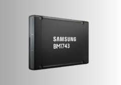 Samsung SSD BM 1743 60 To