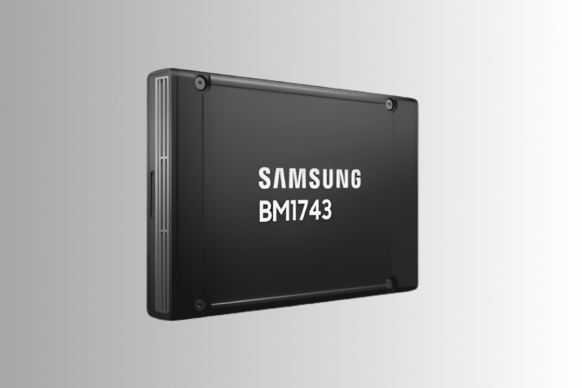 Samsung SSD BM 1743 60 To