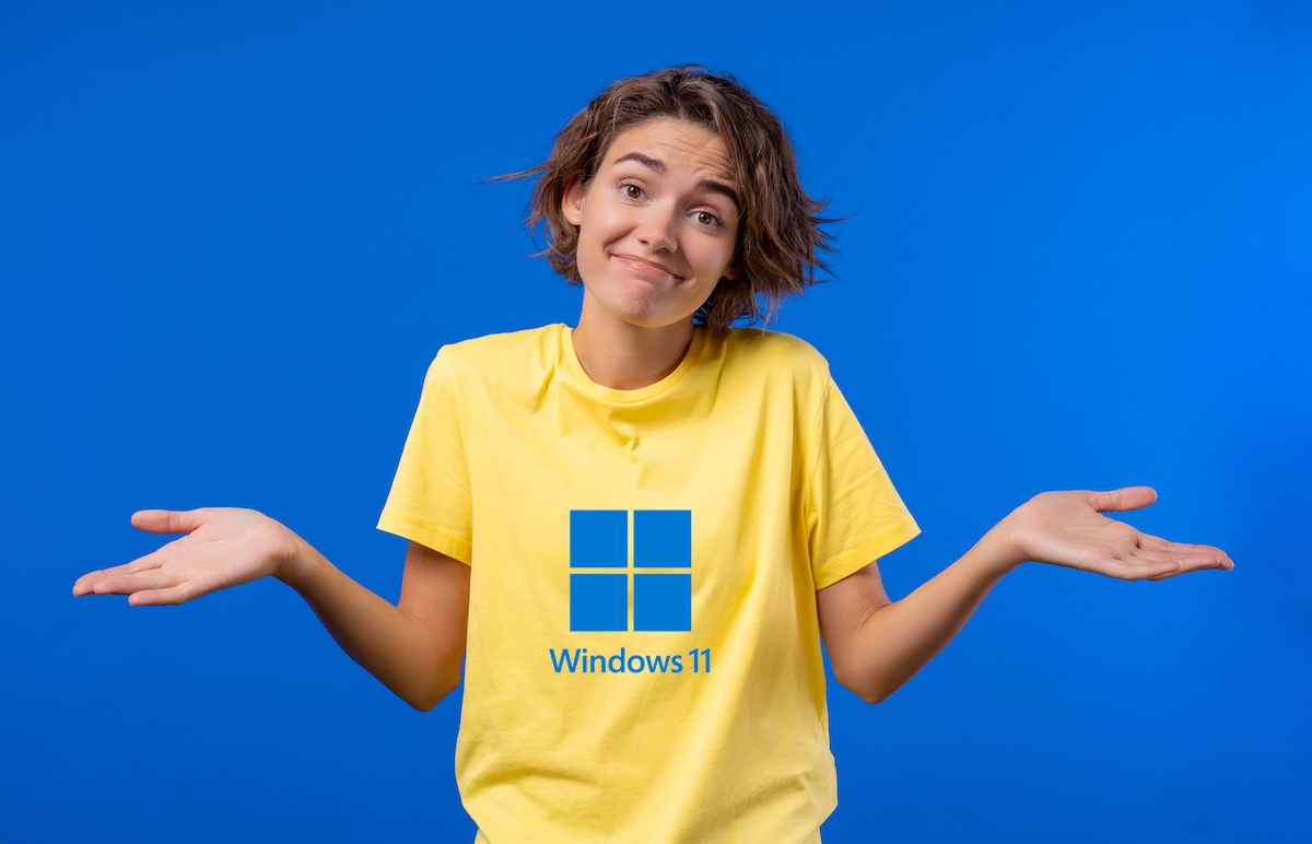 Windows 11 stoppe les mises à jour