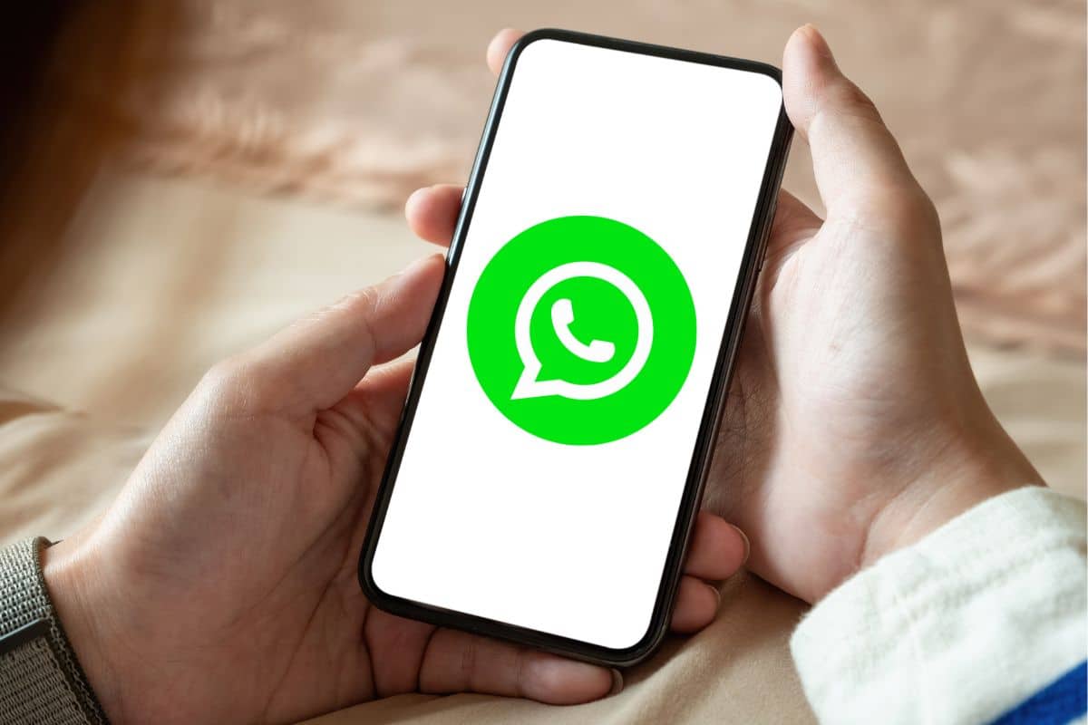 WhatsApp bêta Android pseudo