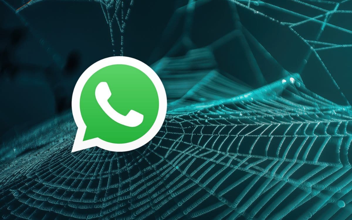 Whatsapp fuite données dark web