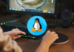 Linux jeux vidéo PC