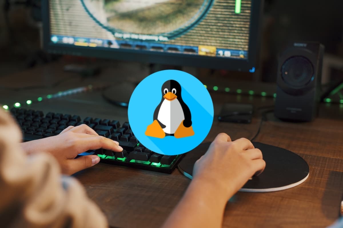 Linux jeux vidéo PC