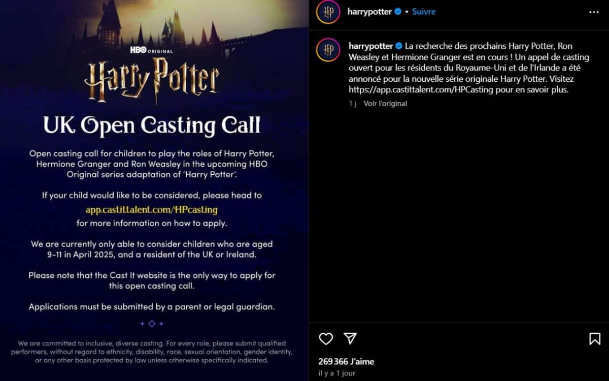 harry potter série casting acteur