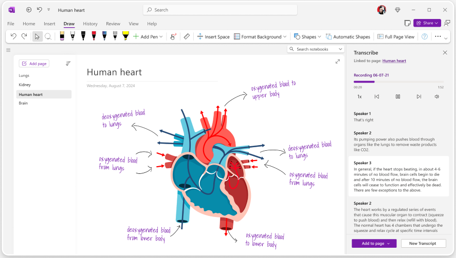 OneNote